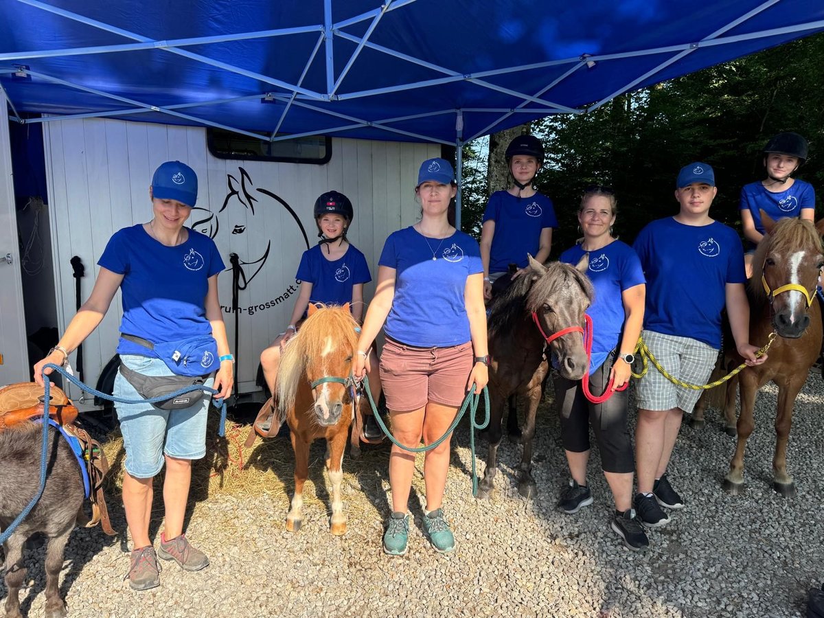 Altri pony/cavalli di piccola taglia Castrone 18 Anni 97 cm Pezzato in Signau