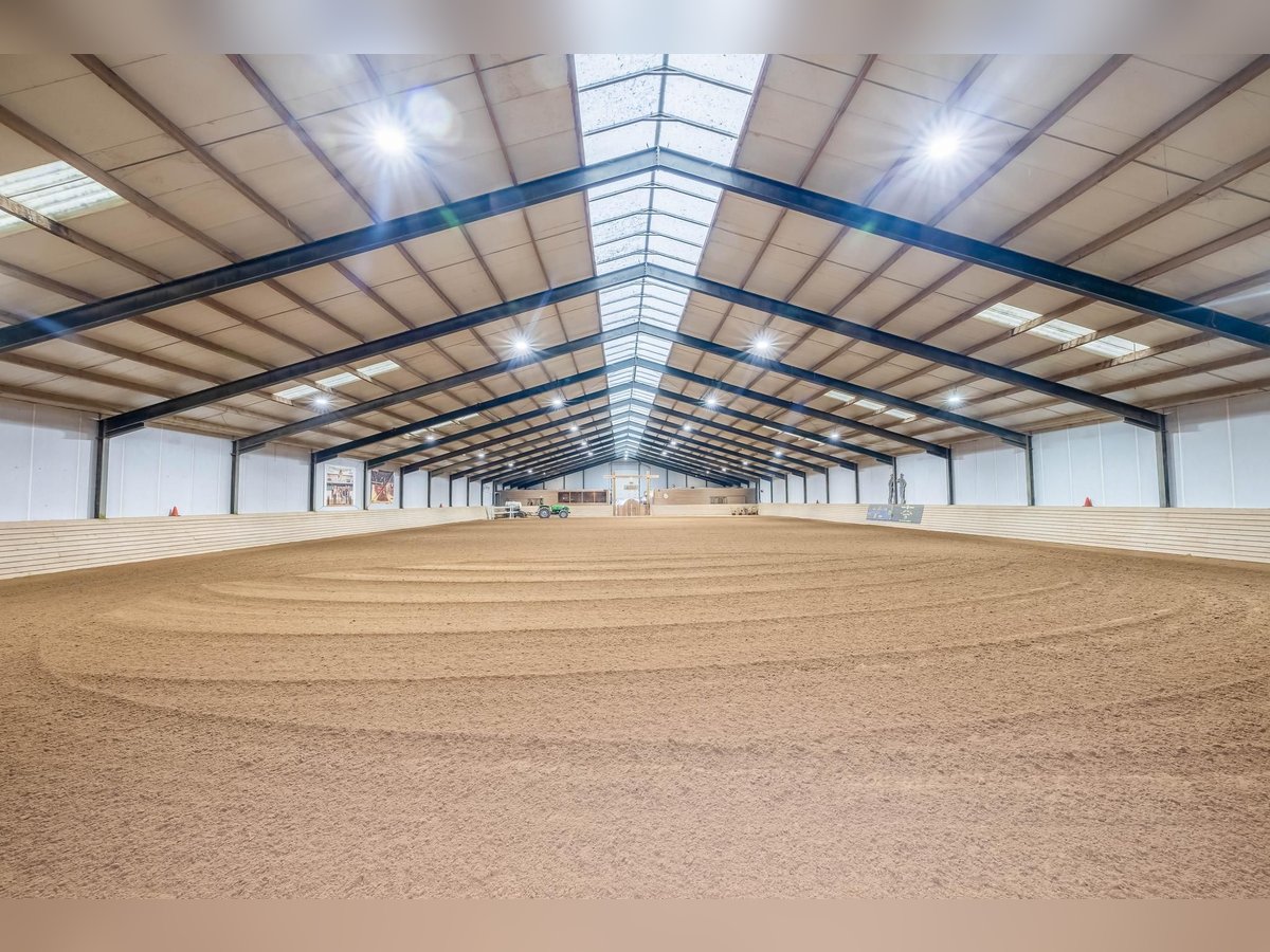 Complete equestrian accommodation