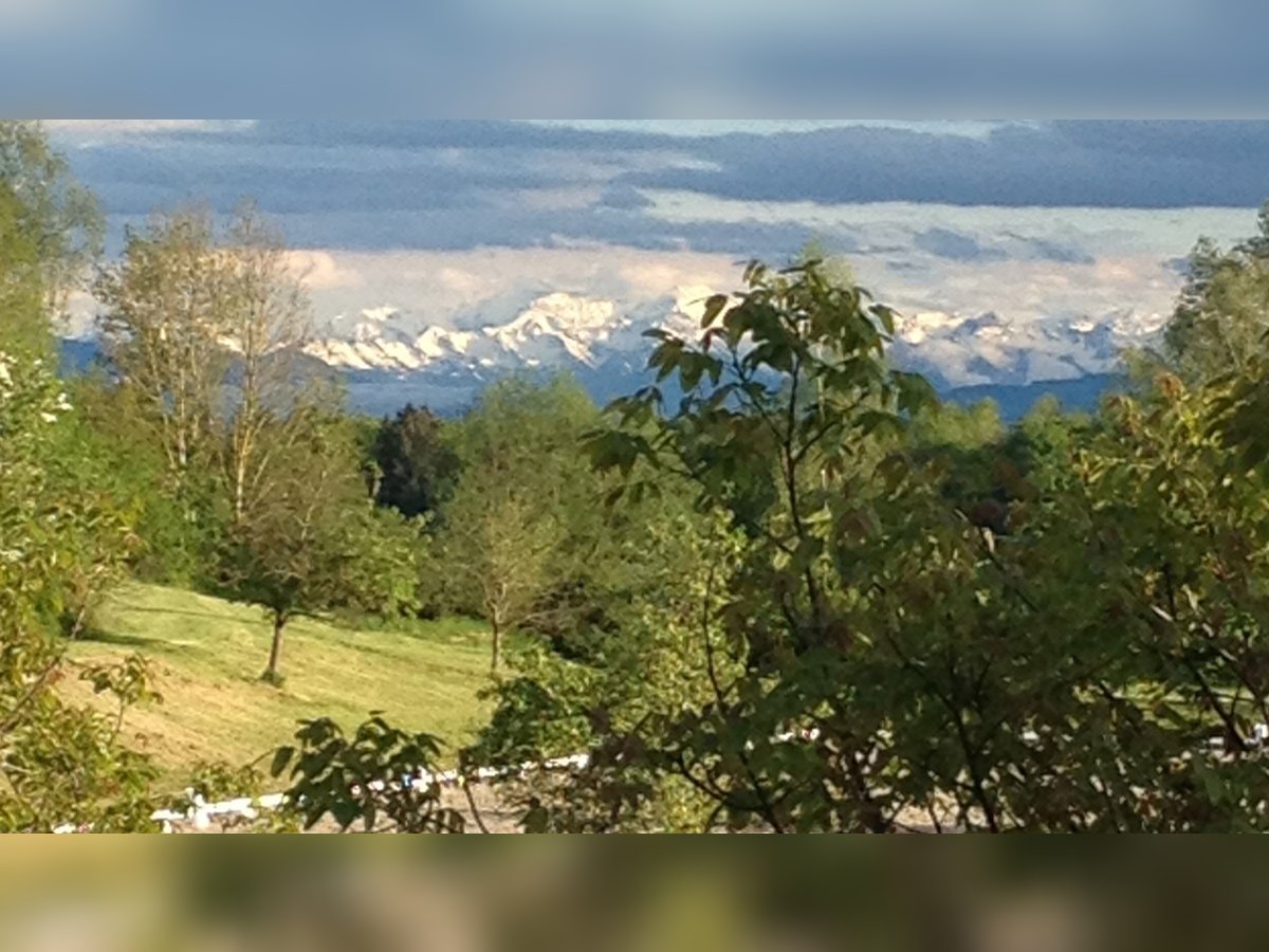 Große Reitanlage an der Schweizer Grenze V13255