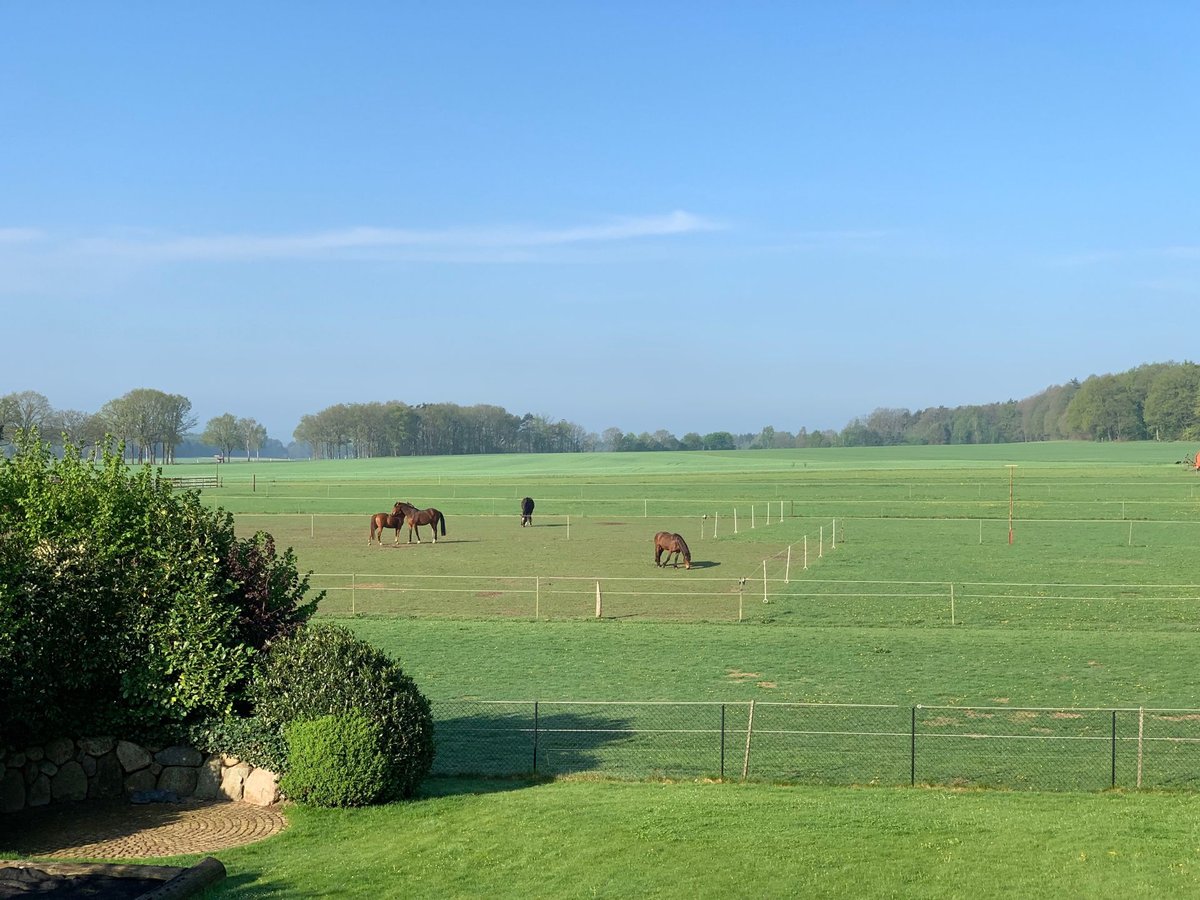 Landhaus für Pferdeliebhaber mit traumhaftem Blick