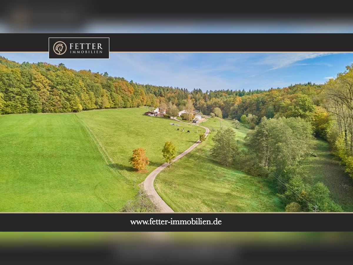 Reitanlage in Baden-Württemberg zu verkaufen – Malerische Alleinlage in der Nähe von Göppingen!