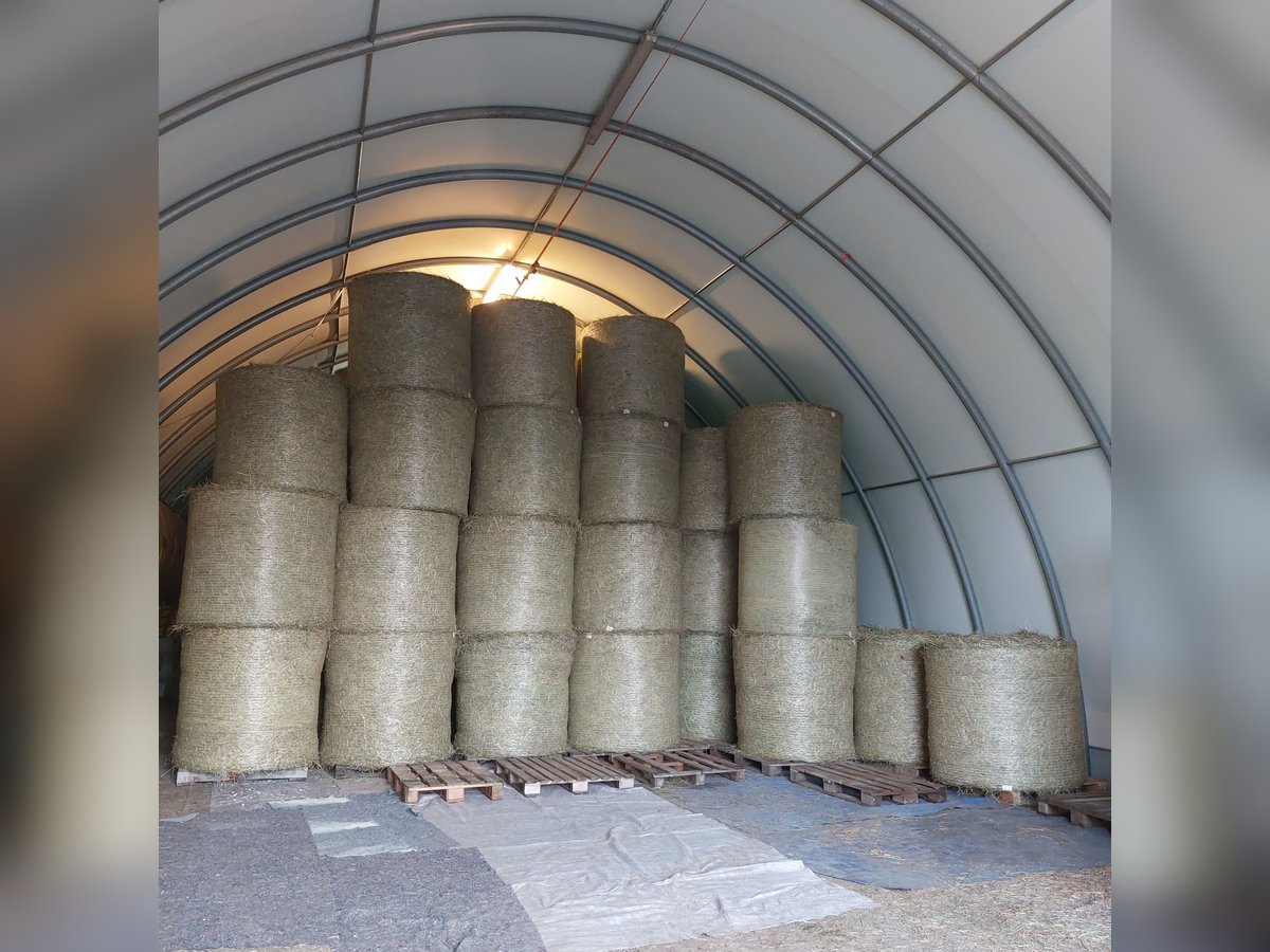 Heurundballen 1.und 2.Schnitt 2025 Heurundballen 1.und 2.Schnitt 2025