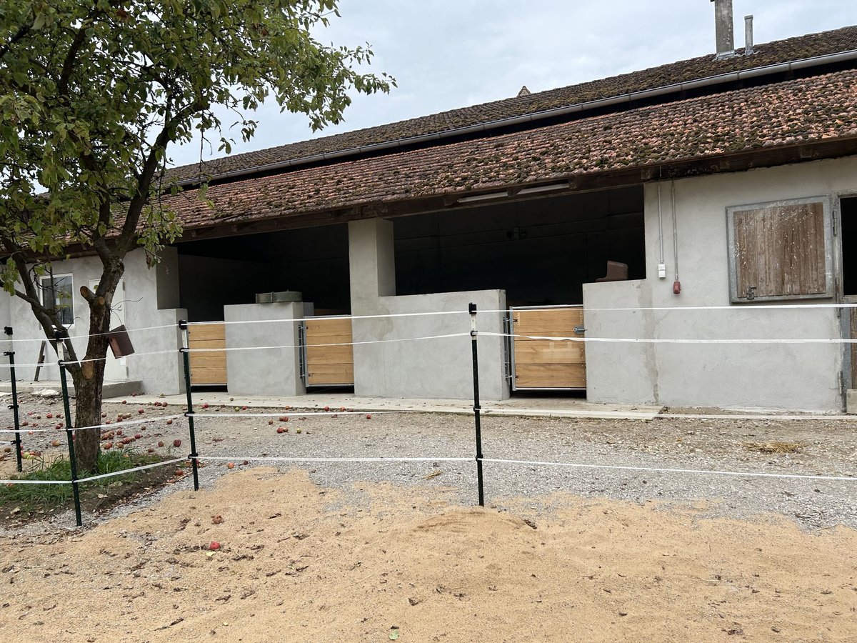 Außenboxen frei ab sofort 