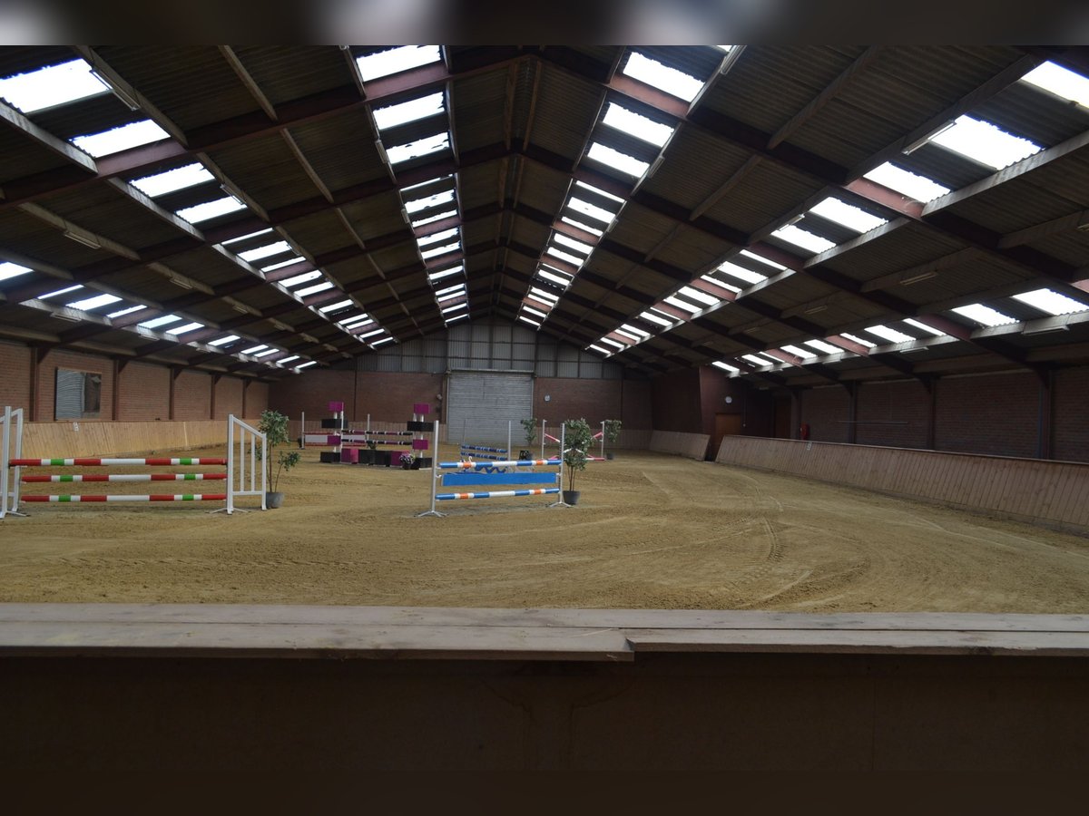 Te huur aangeboden een professionele paarden manege/complex/stallen