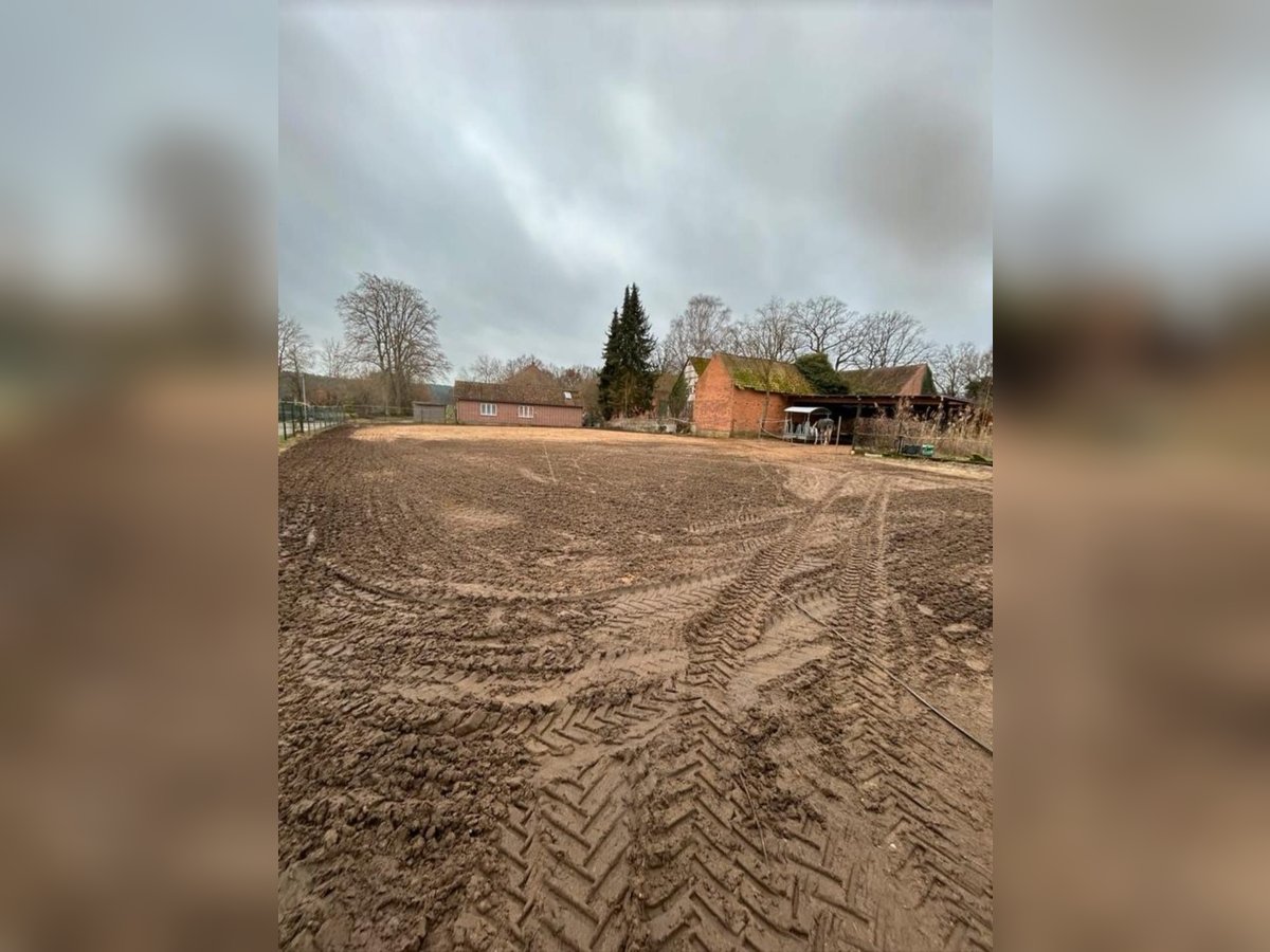 Offenstall / Box frei für Asthmatiker