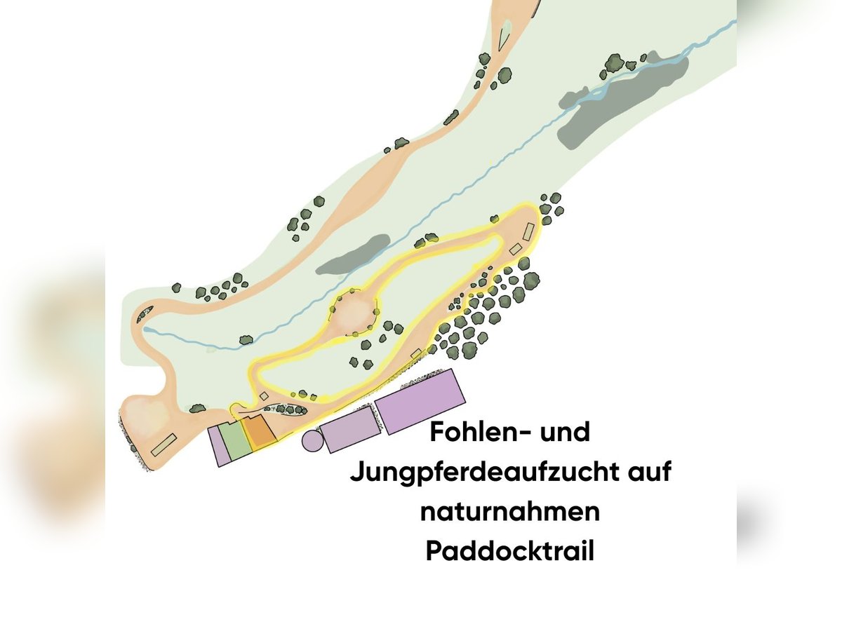 Artgerechte Aufzucht im Paddocktrail