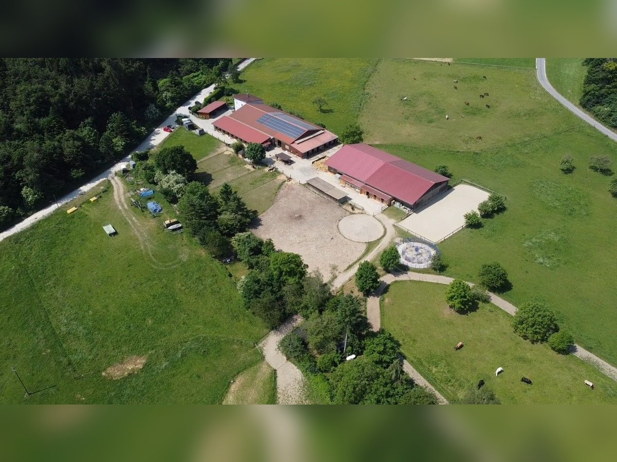 Paddock, Außen und Innenbox frei Paddock, Außen und Innenbox frei