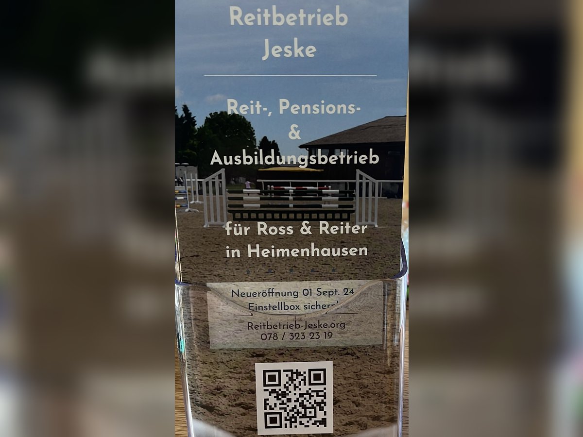 Reitunterricht/Beritt