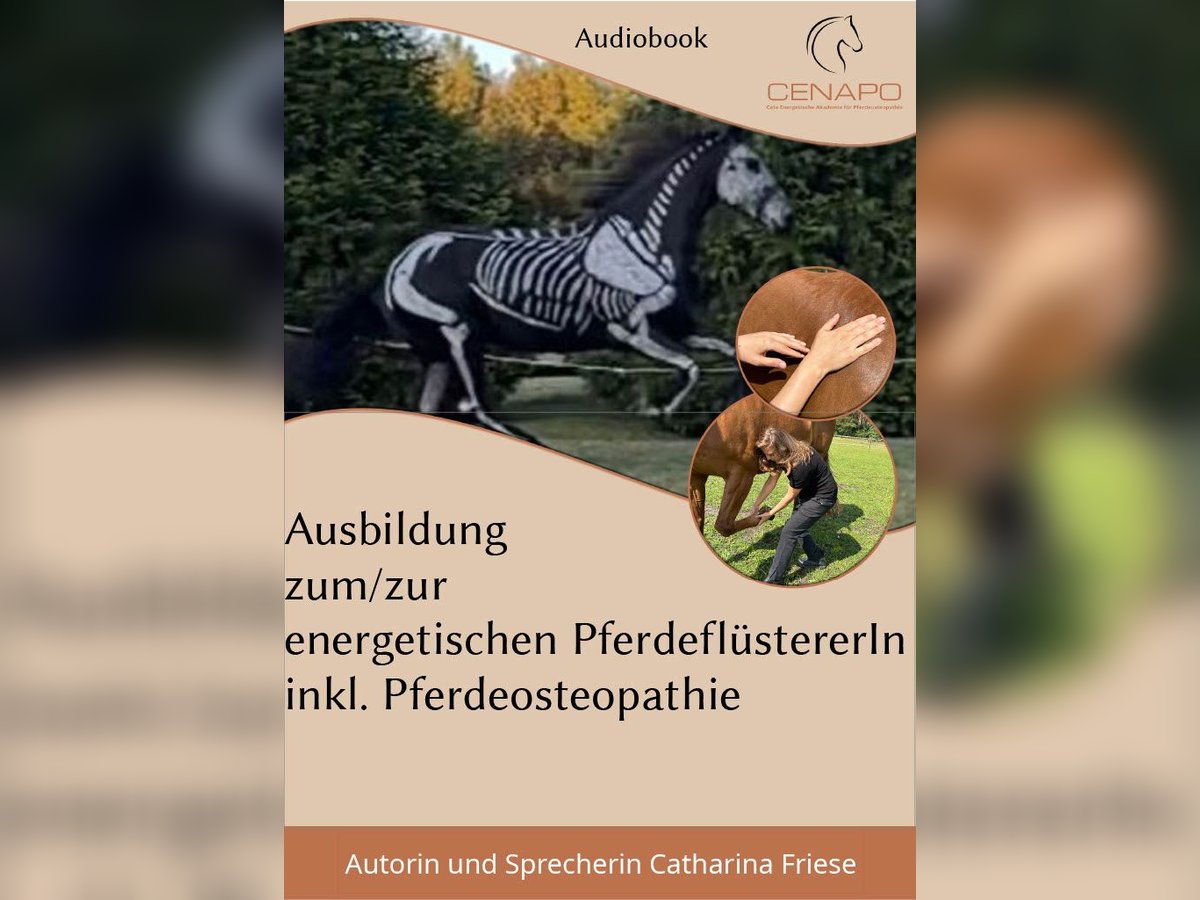 Audiobook Ausbildung zum/zur energetischen PferdeflüstererIn inklusive Pferdeosteopathie
