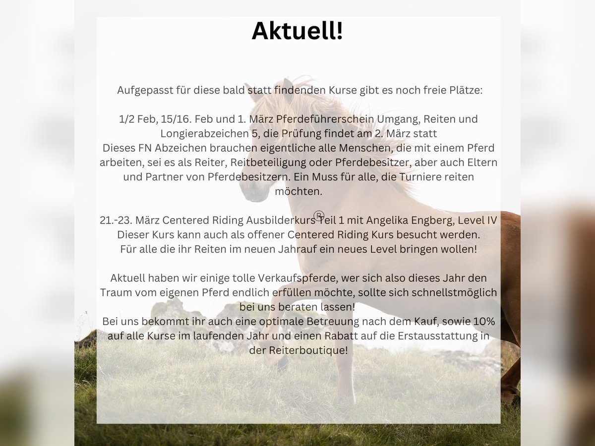 Centered Riding Ausbilderkurs mit Angelika Engberg + Pferdeführerschein/Longierabzeichen