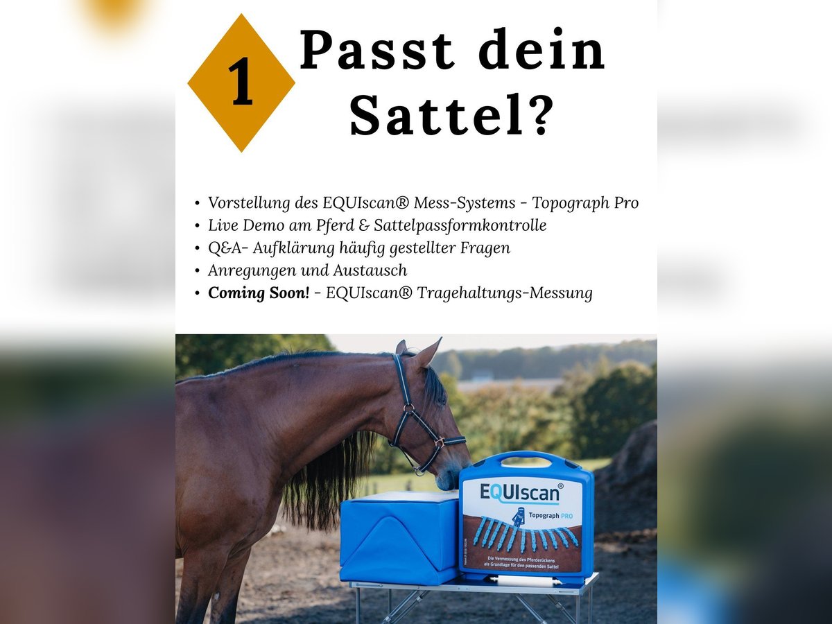 Workshops Sattelpassform(kontrolle)