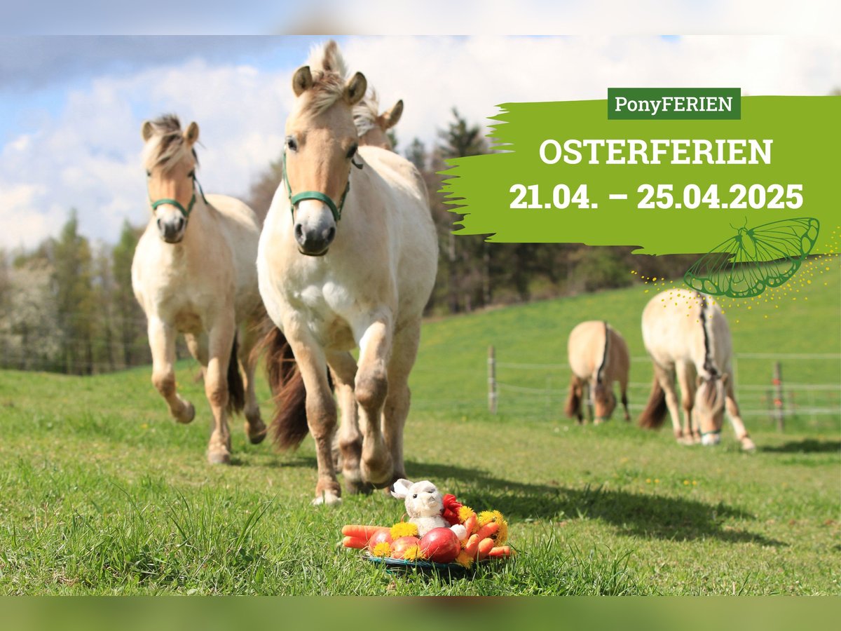 Reiterferien „Osterleuchten“