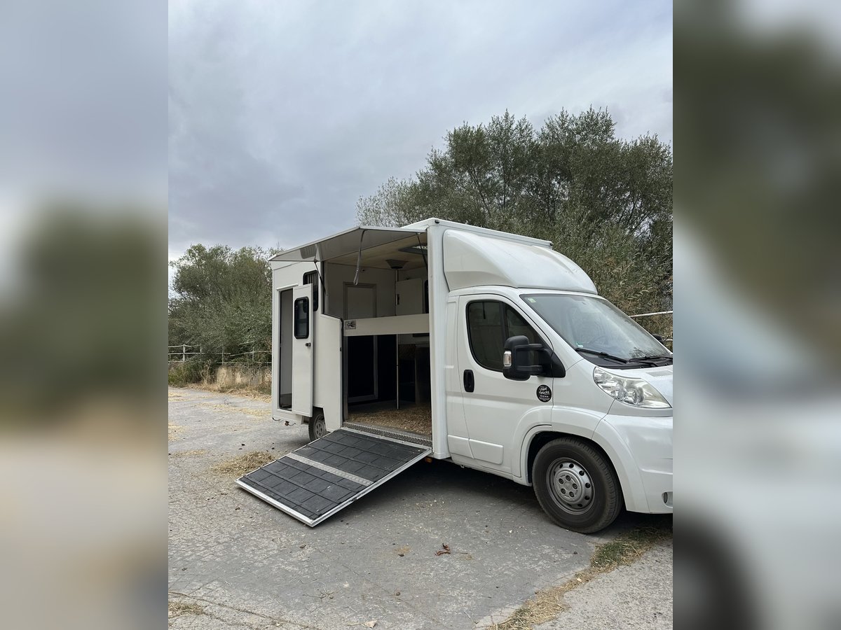 Furgoneta para 2 caballos