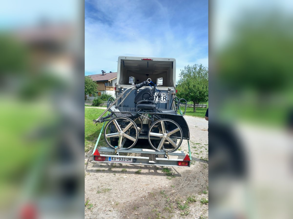 Pferdeanhänger mit Kutschenaufsatz hinten