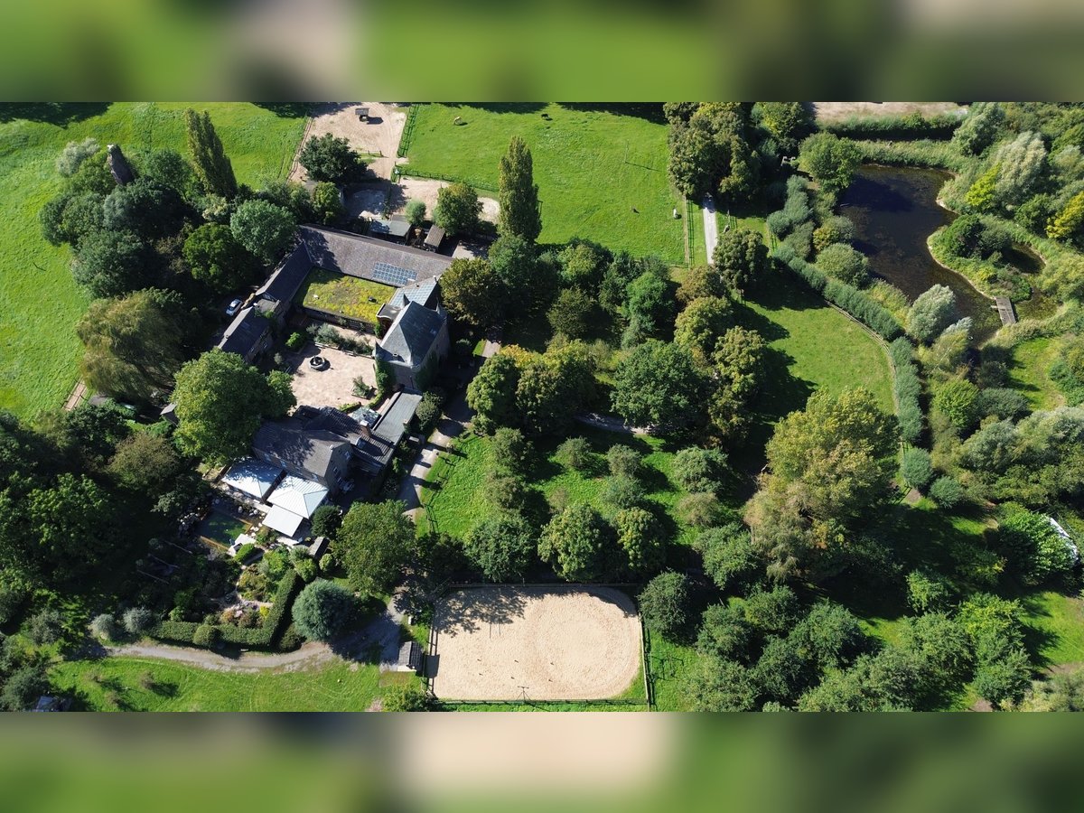 Wohnanlage mit historischem Flair auf Parkgrundstück mit eigenem See für Natur- und Tierliebhaber!