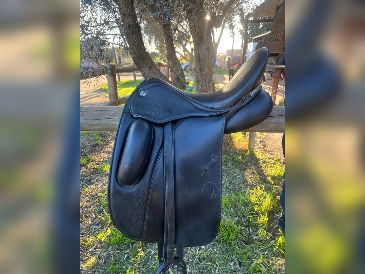 Montura de doma DON RODRIGO