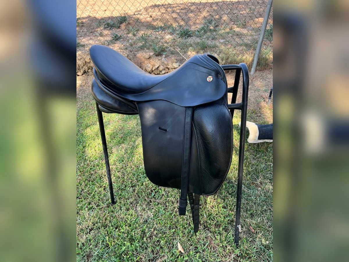 Silla montar KN Victoria 17,5 perfecto estado