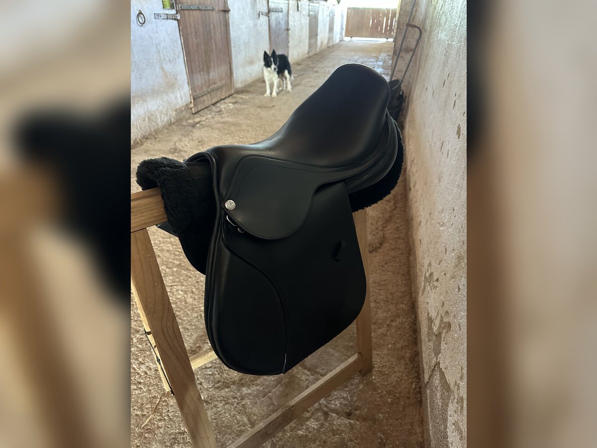 Montura de Salto Nueva