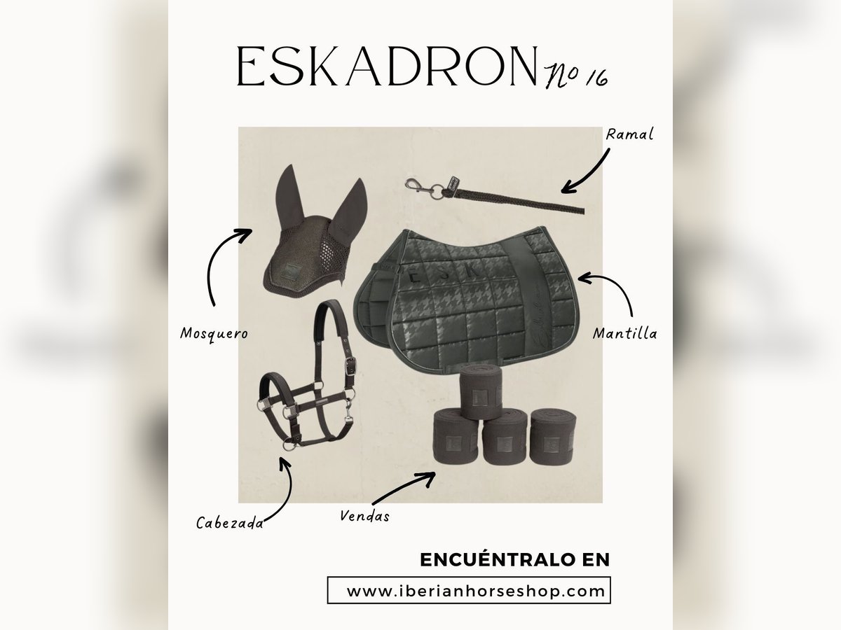 CONJUNTO Nº 16 ESKADRON 