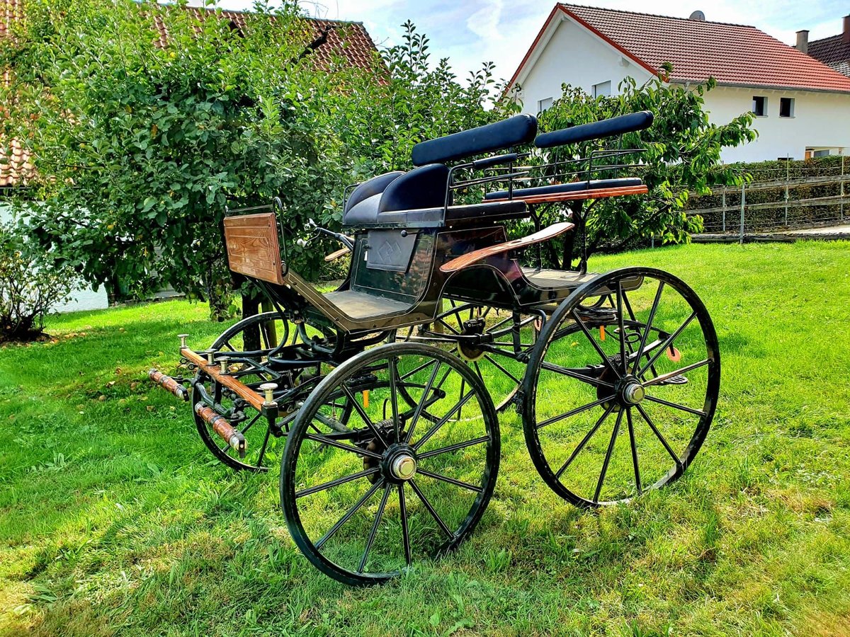Dressurwagen Spider Fabrikat Hansmeier