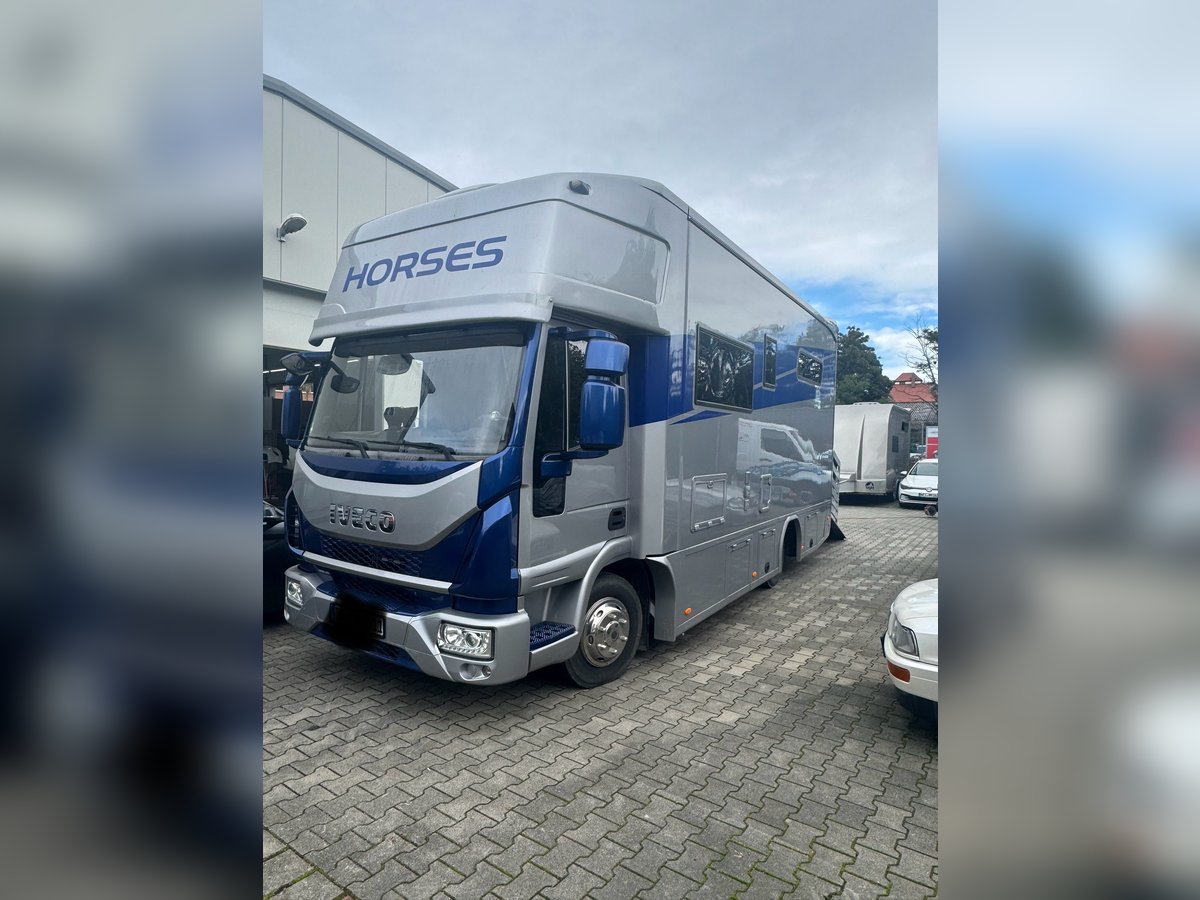 Iveco 80 E RJH Ecoline Pferdetransporter mit Führschein Klasse 3 bzw. C1 zu fahren