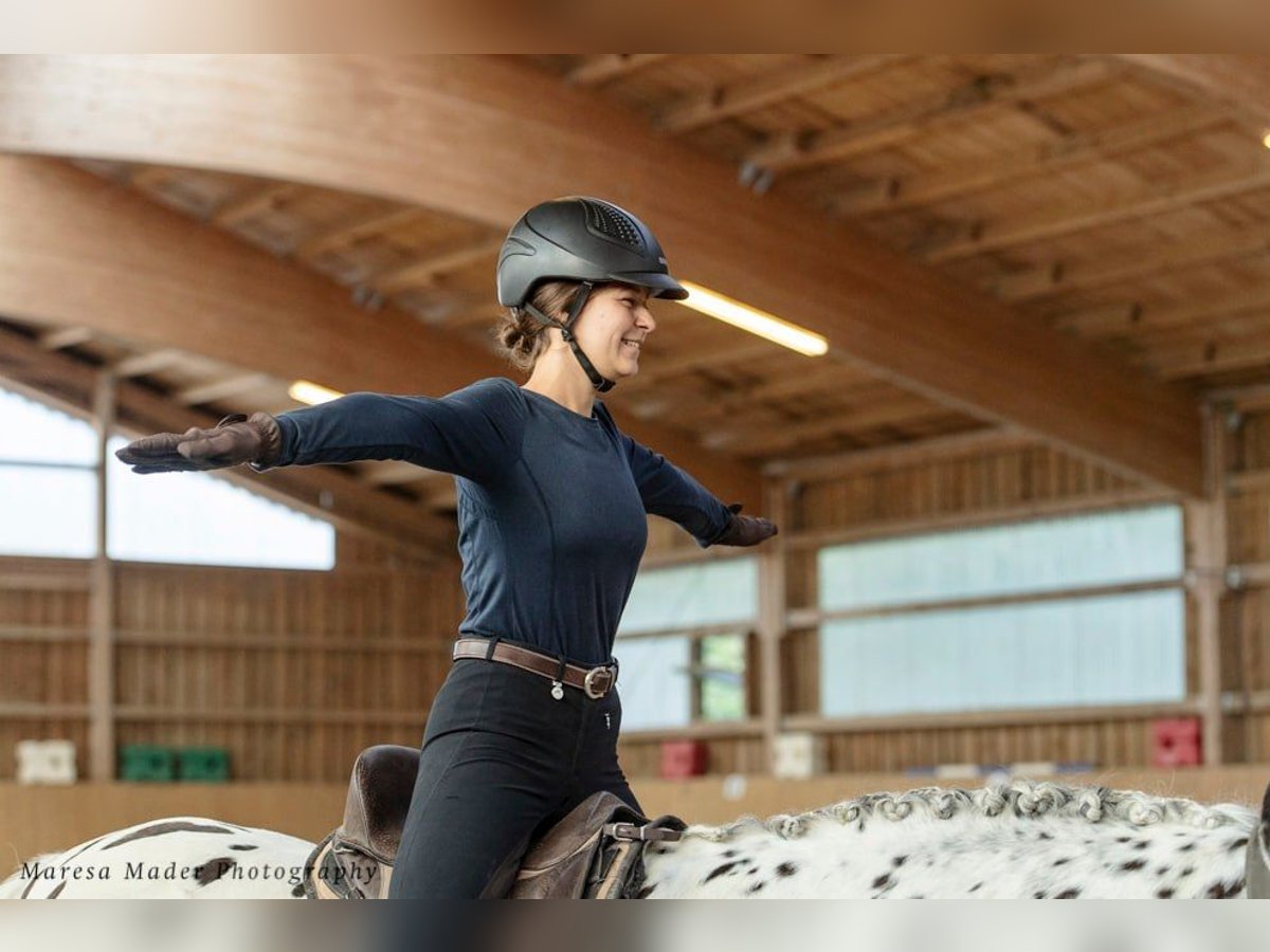 Coaching Problempferd/ Angstreiter*innen Coaching Problempferd/ Angstreiter*innen