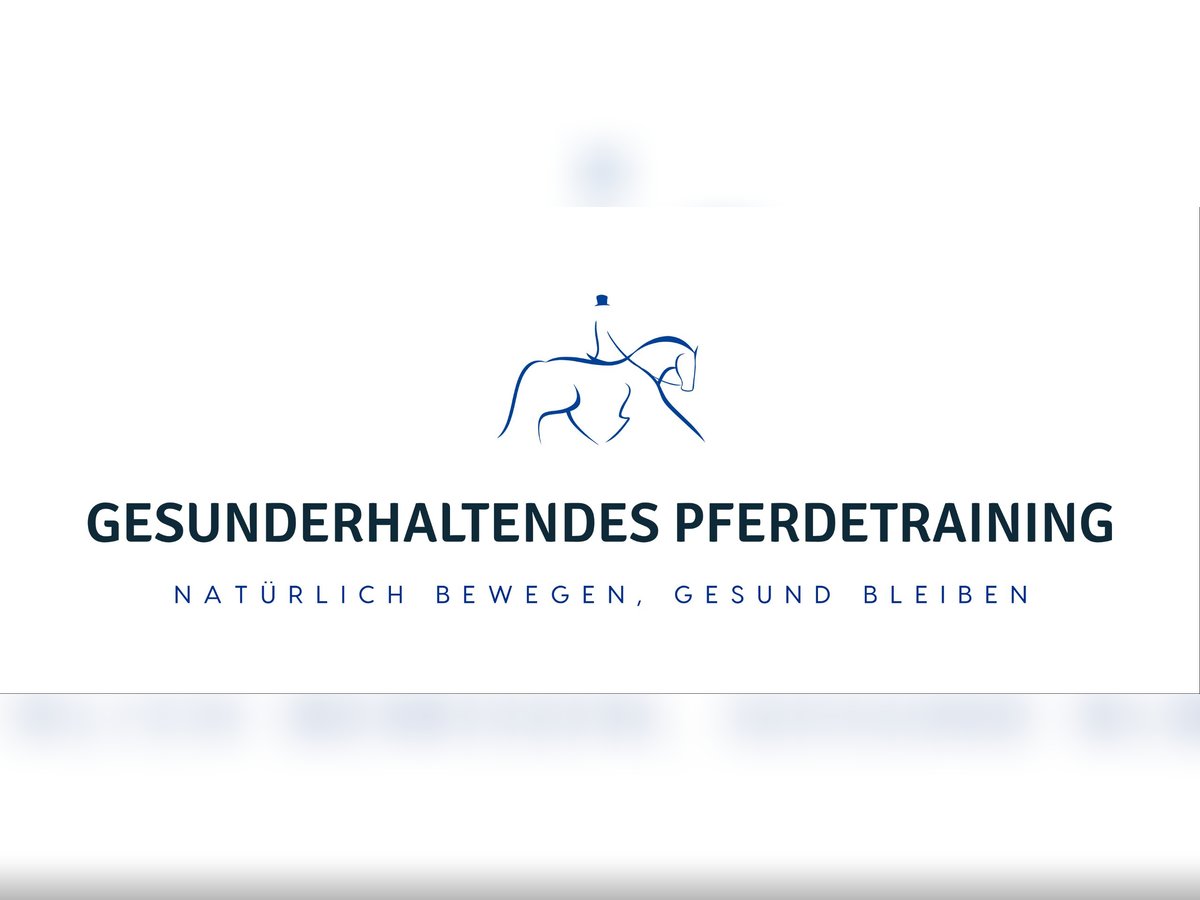 gesunderhaltendes Pferdetraining
