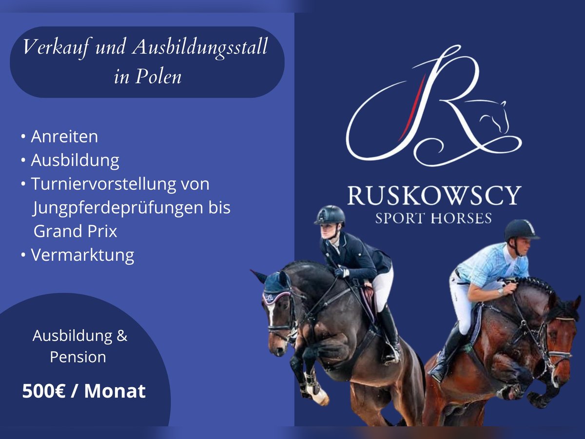 Ruskowscy Sport Horses