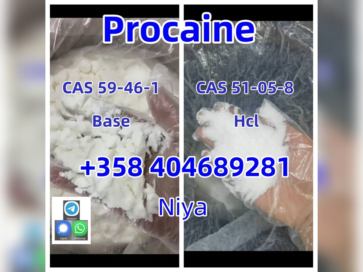 Procaine Hydrochloride Cas 51-05-8 Manufacturer Supply High Quality Cas 51-05-8 Hydrochloride Hcl Di