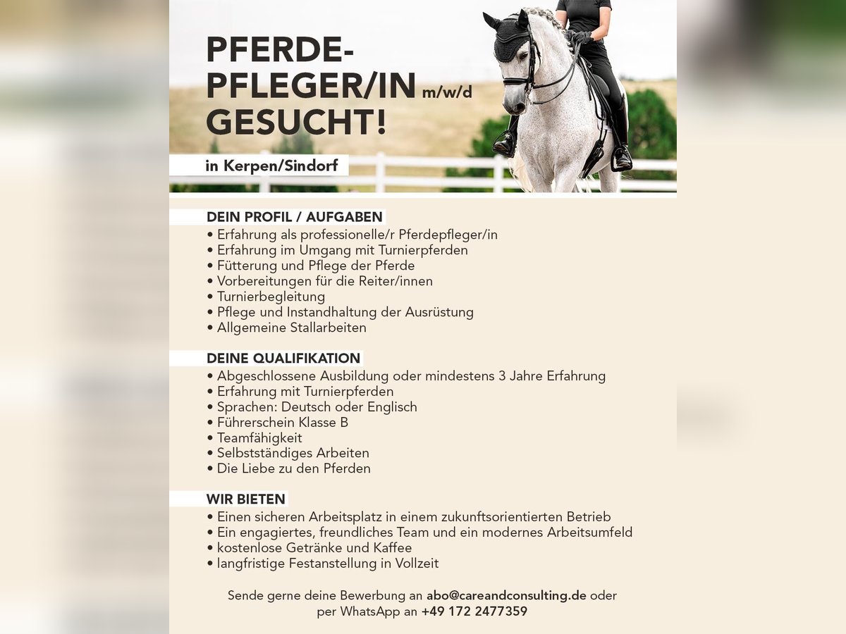Pferdepfleger/in Vollzeit in 50170 Kerpen gesucht Pferdepfleger/in Vollzeit in 50170 Kerpen gesucht