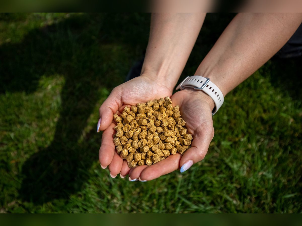 Strohpellet - pellet ze słomy- ściółka dla Koni