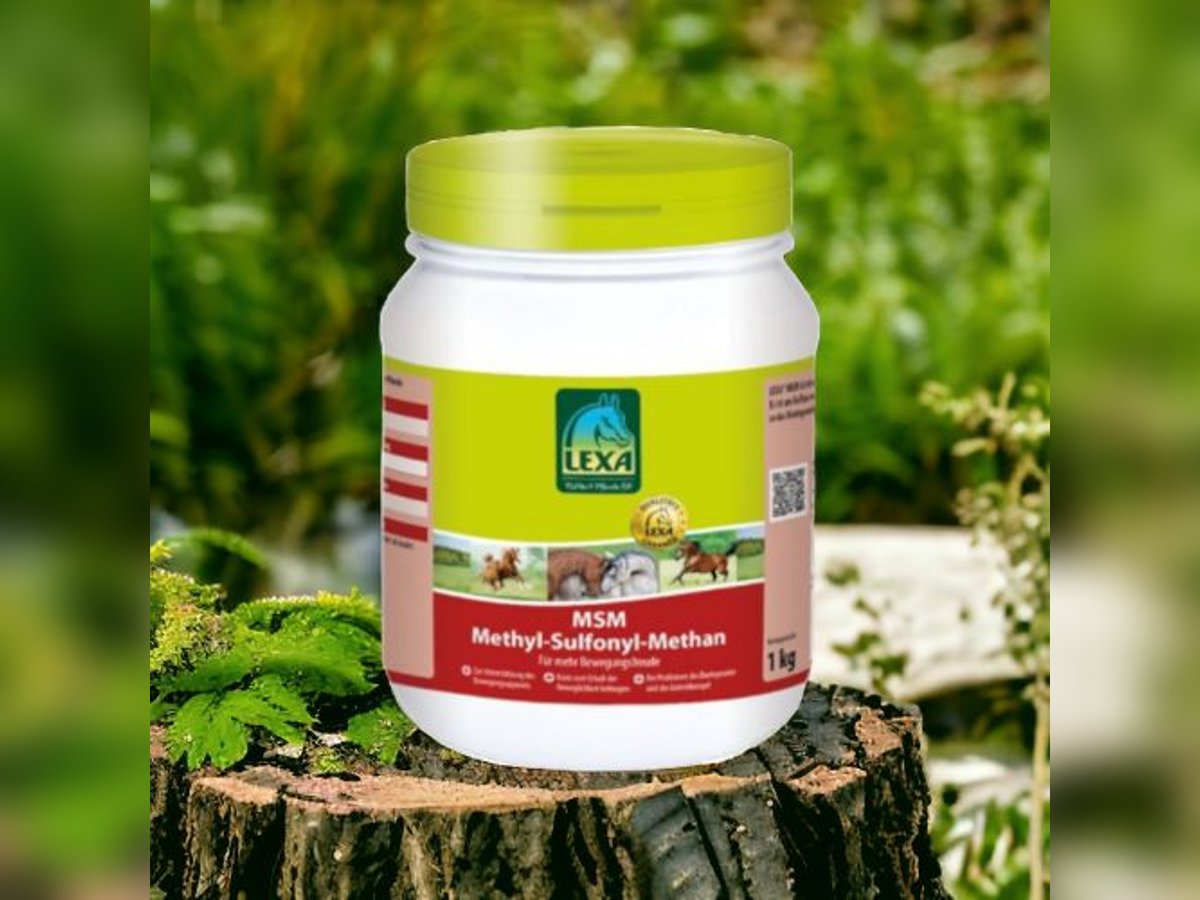 MSM (Methyl Sulfonyl Methan) 1kg UVP 20,80€