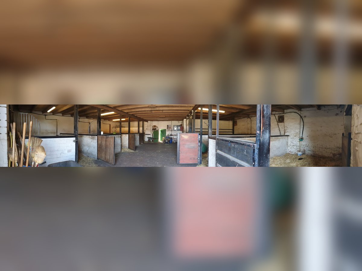 Privater Selbstversorger-Offenstall - Platz für 2 Wallach frei