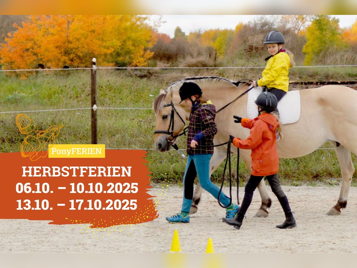 Reiterferien „Herbstzauber“