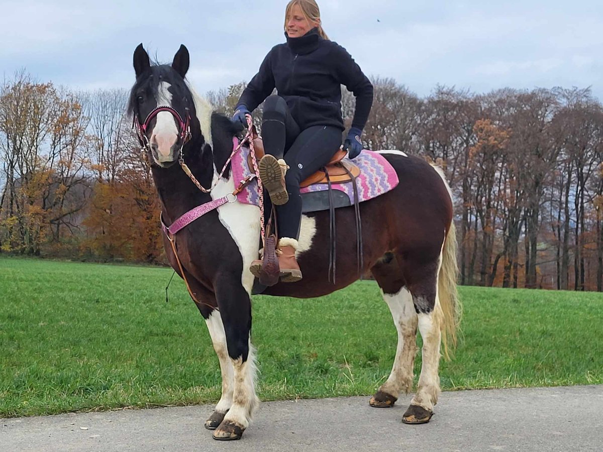 Barock Pinto Merrie 7 Jaar 148 cm Gevlekt-paard in Linkenbach