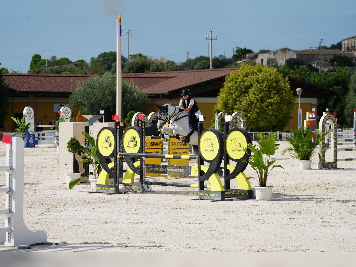 Classic Pony Giumenta 10 Anni 147 cm Bianco in Favara
