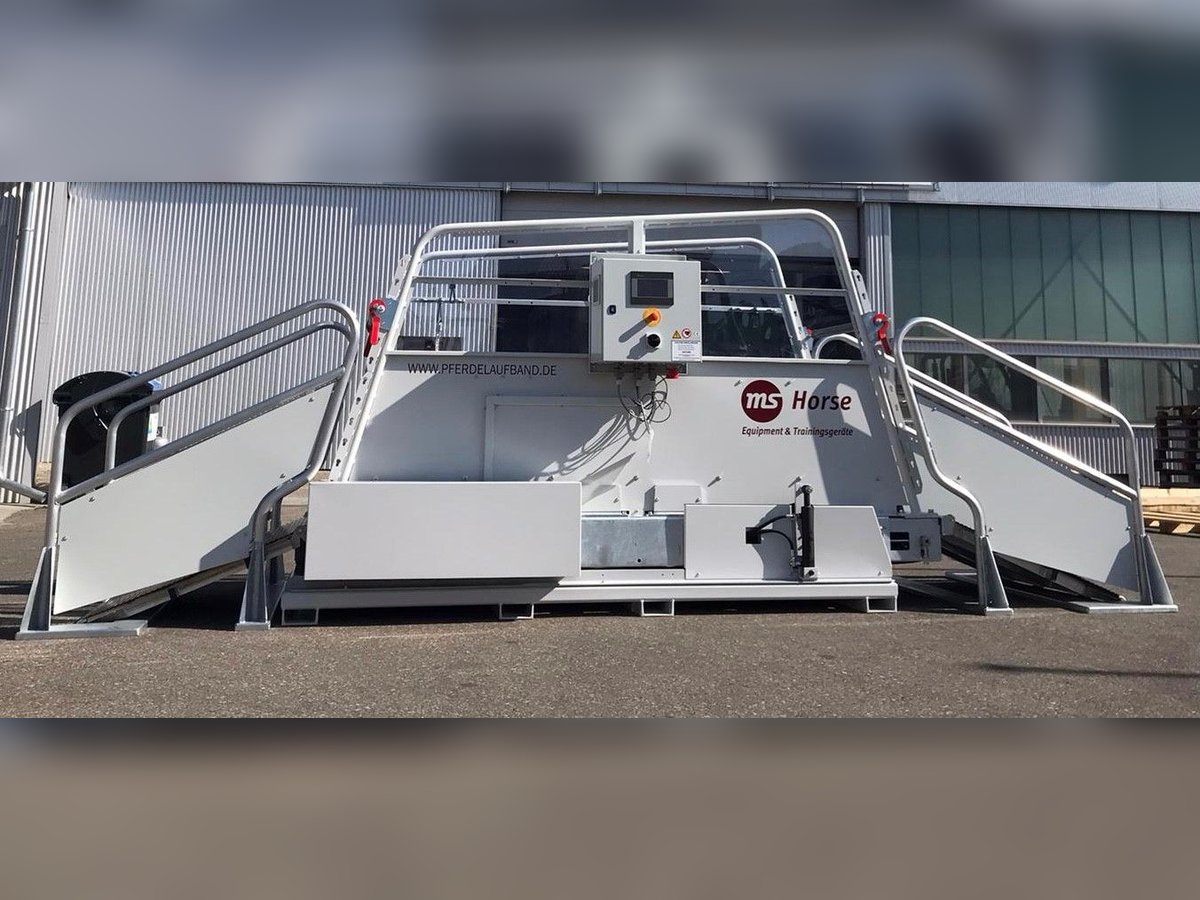 ms Pferdelauf Economy zum Sommerpreis