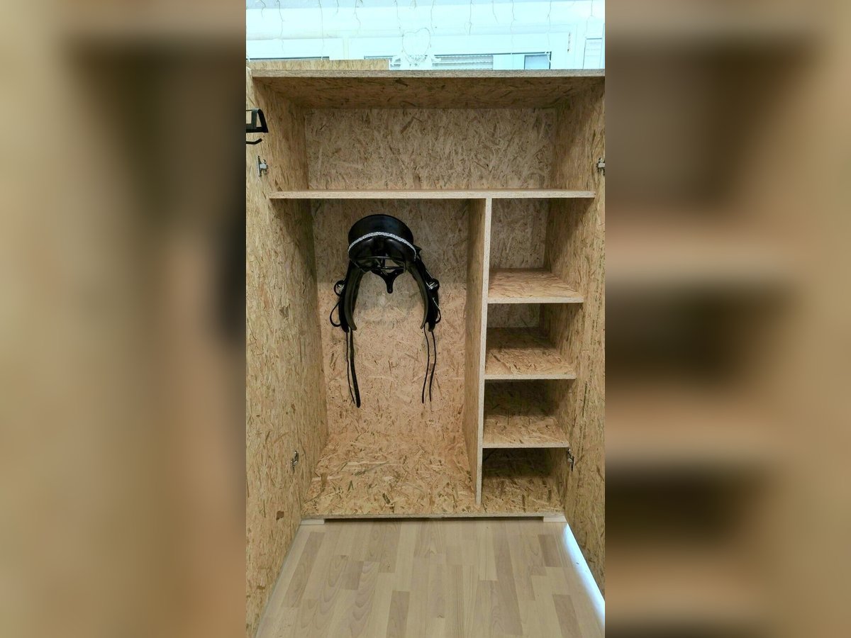 Sattelschrank NEU OSB Holz Sattelhalter Sattel Bundeswehrschrank