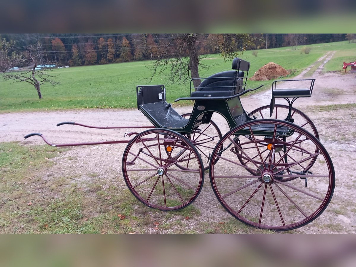 Kühnle Dressurkutsche