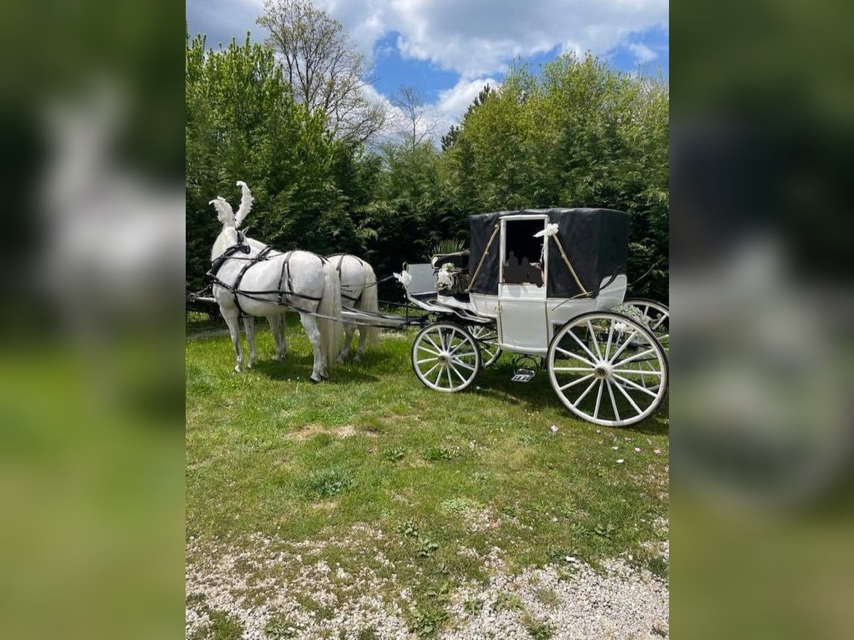 Carrozza Landau originale