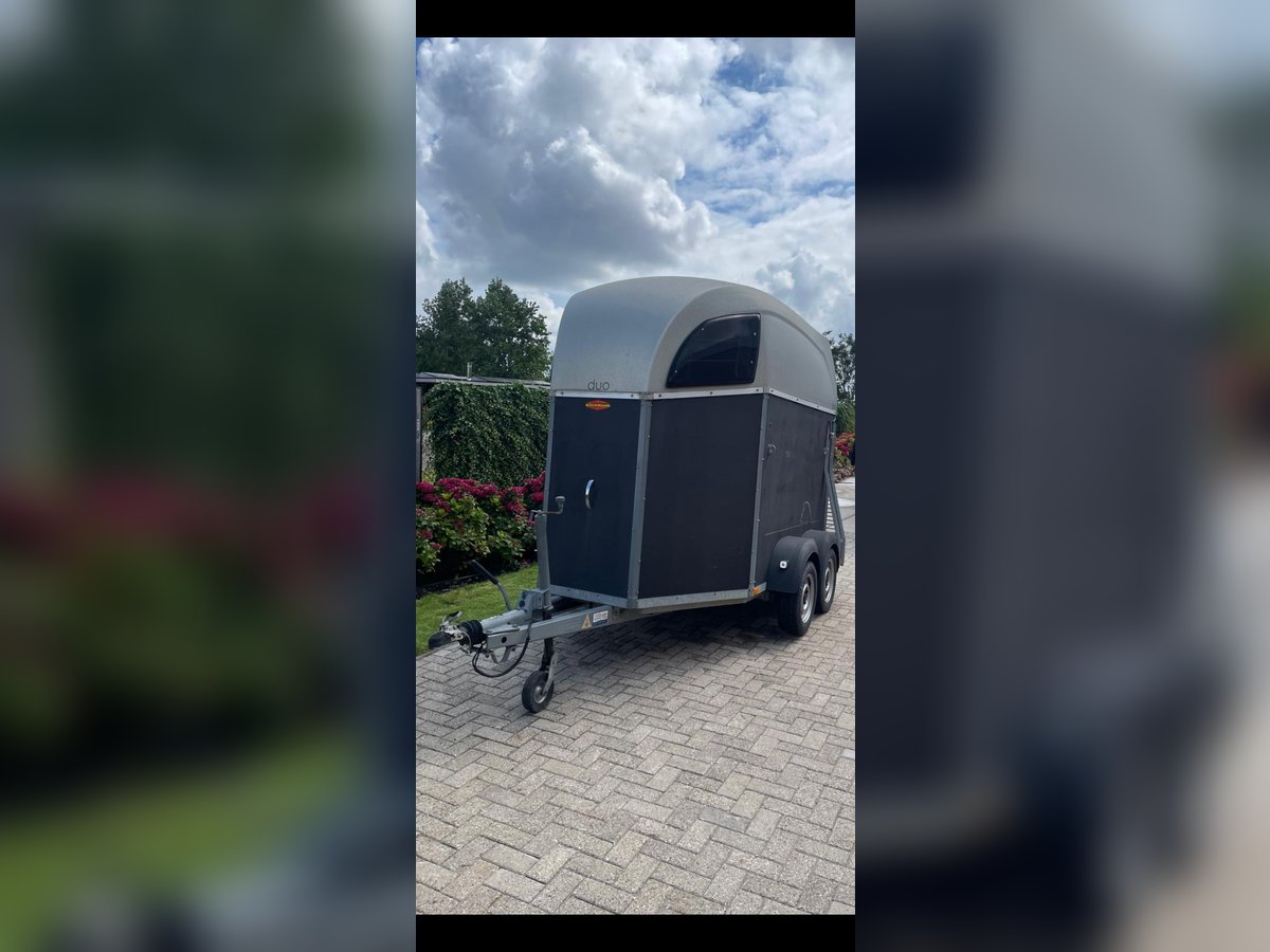 Pferdeanhänger zum direkt los fahren 