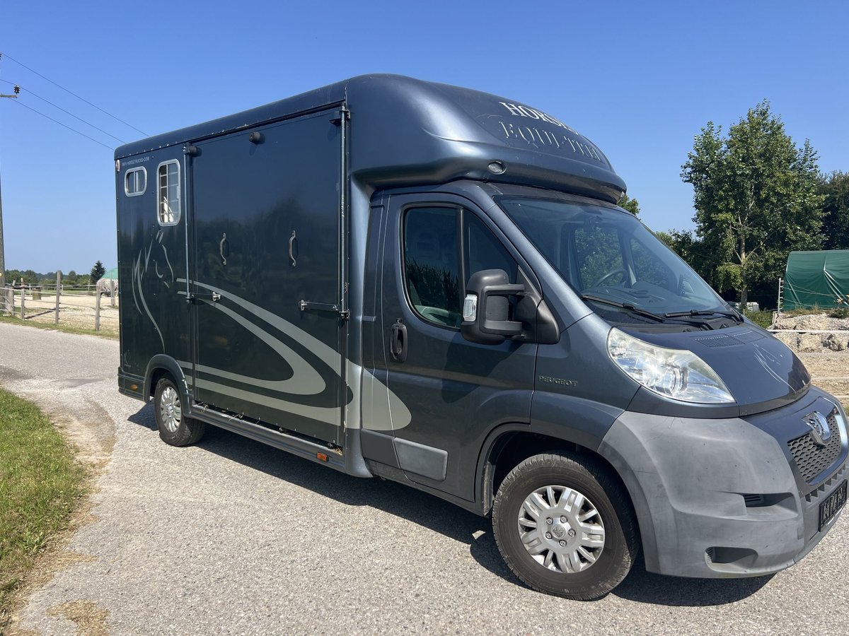 Pferdetransporteuer Peugeot Boxer