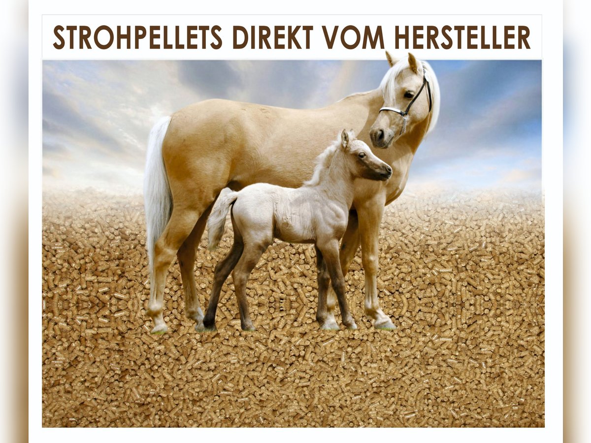 Strohpellets: nur 34€/Monat und Ihre Pferdebox ist immer sauber!