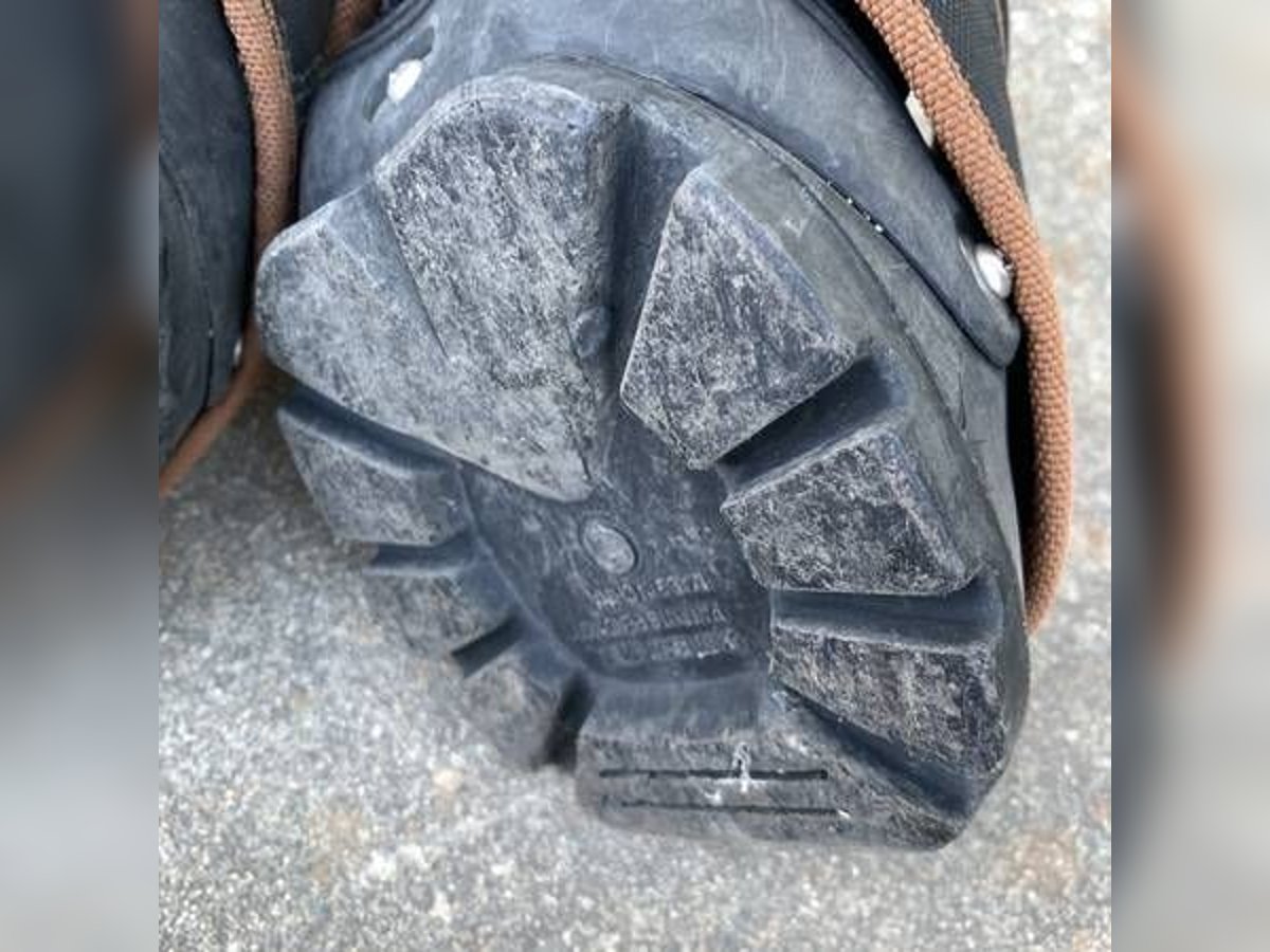 Easycare Easyboot Backcountry Horse Hoof Boot Boots [Horse Tack] 