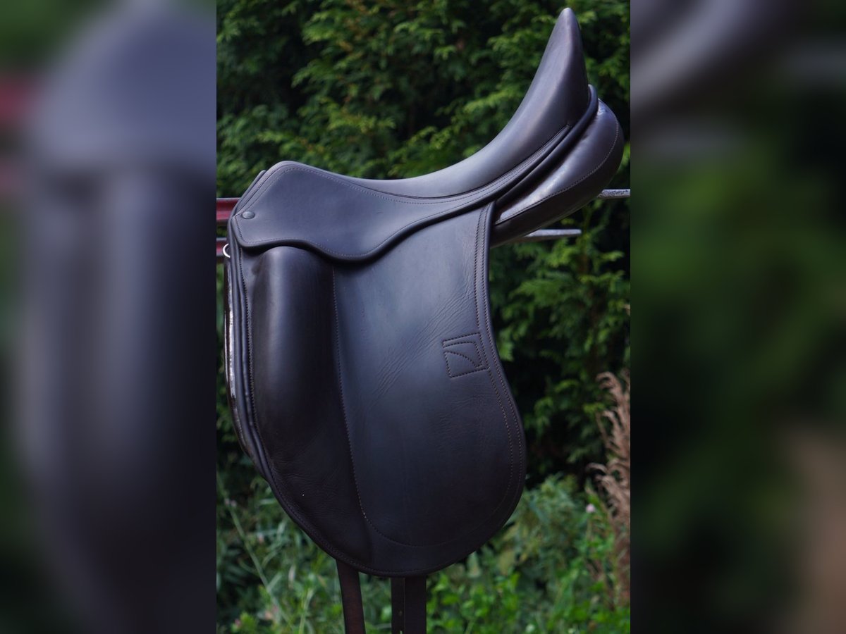 Luc Childeric Saddles – DNL and DSG Models