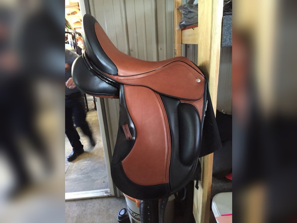 quality dressage saddles for your horses deliver nationwide delivery in just two days after order 