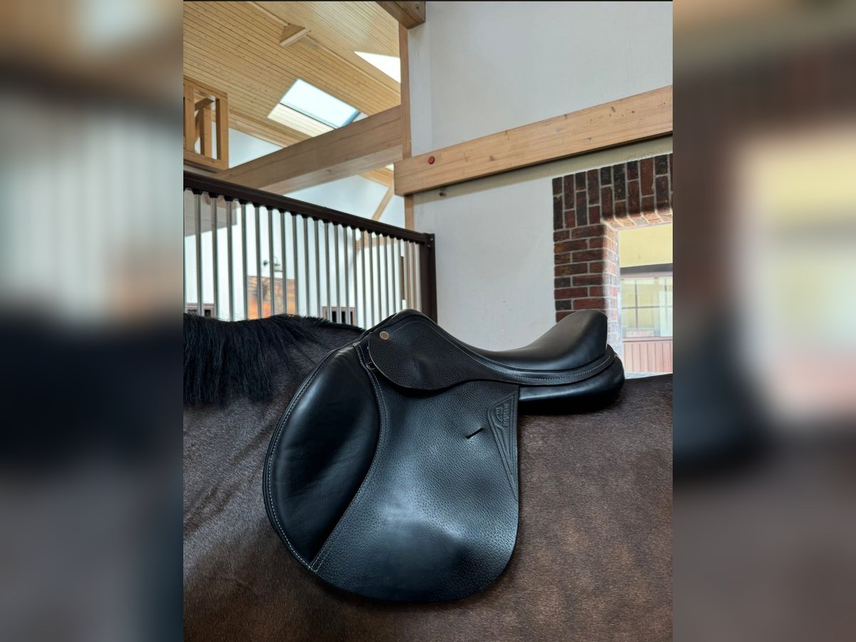 Equiline saddle for sale  Equiline saddle for sale