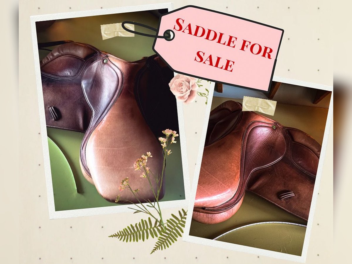 HDR English saddle 17”