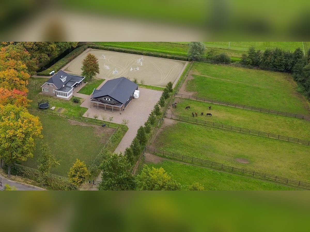 A beautiful location for horse happiness!