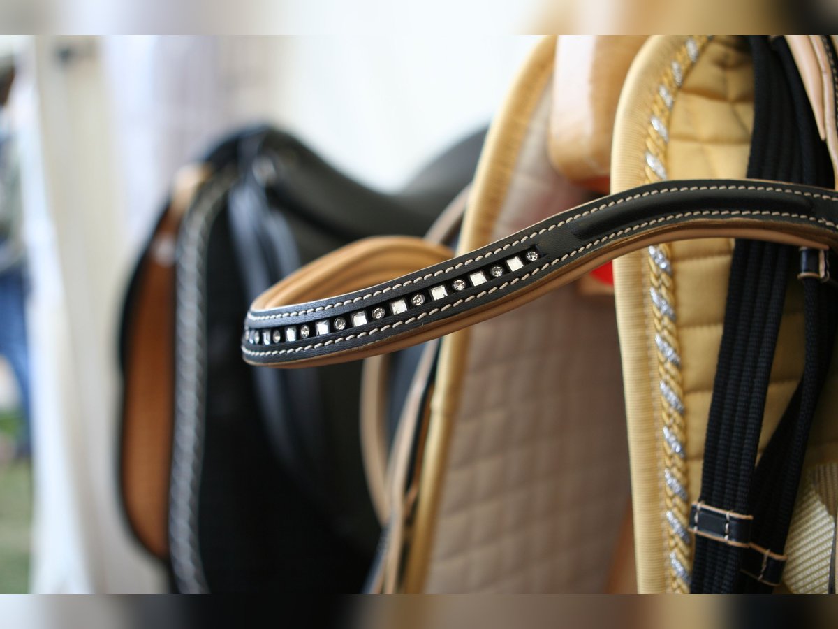 Hochwertige Reitsportanlage in Rheinhessen – Großer Sport! V14310